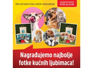 Plodine nagrađuju vaše mačke i pse!